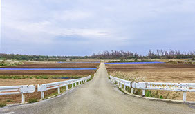 津堅島中央部の畑を抜ける道